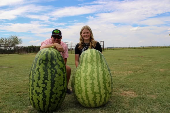 LOT 2 — Bratcher Melons (2 Sets)