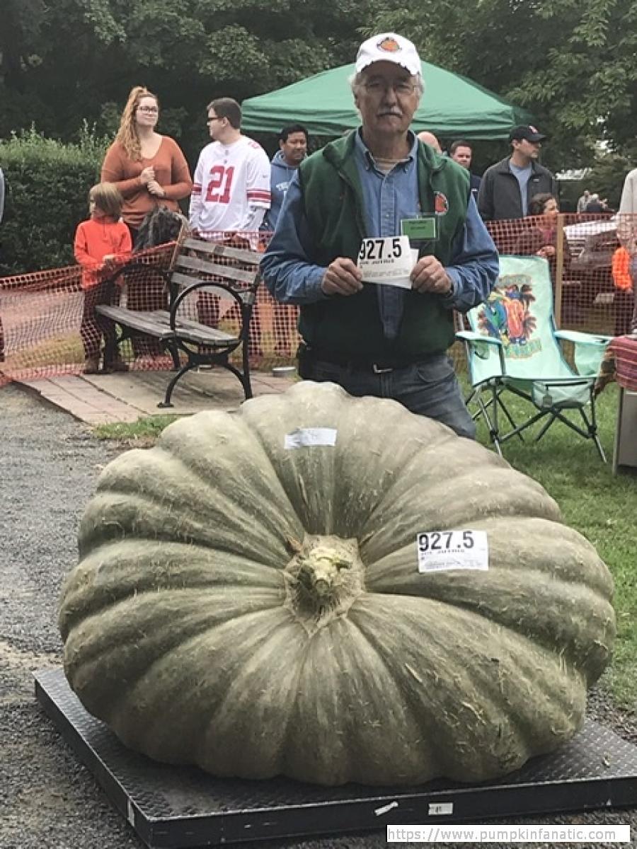 Lot 21 - Make your own 1109 Jutrus Squash!